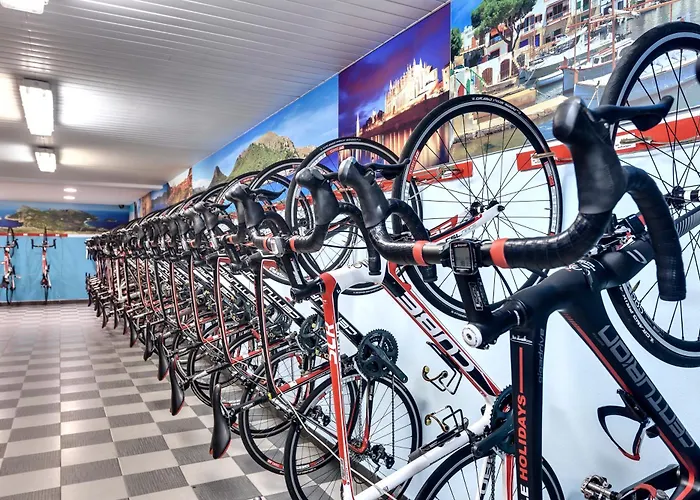 فندق Occidental 4*